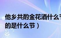 他乡共酌金花酒什么节日（他乡共酌金花酒写的是什么节）