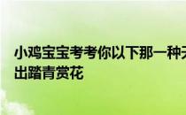 小鸡宝宝考考你以下那一种天气状况，更适合花粉过敏者外出踏青赏花