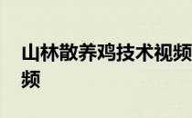 山林散养鸡技术视频教程 山林散养鸡技术视频