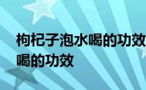 枸杞子泡水喝的功效作用与禁忌 枸杞子泡水喝的功效