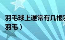 羽毛球上通常有几根羽毛（羽毛球上有多少根羽毛）