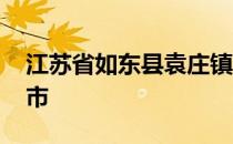 江苏省如东县袁庄镇几月拆迁 江苏省如什么市