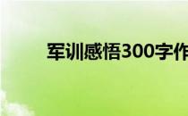 军训感悟300字作文 军训感悟结尾