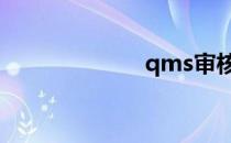 qms审核员 qms