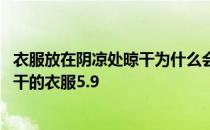 衣服放在阴凉处晾干为什么会臭 蚂蚁庄园放在阴凉处慢慢晾干的衣服5.9