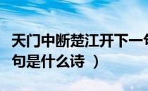 天门中断楚江开下一句（天门中断楚江开下一句是什么诗 ）