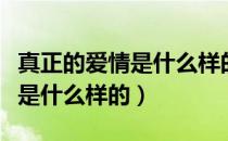 真正的爱情是什么样的温馨提示（真正的爱情是什么样的）