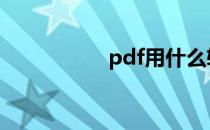 pdf用什么软件打开啊