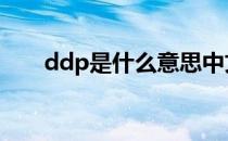 ddp是什么意思中文 ddp是什么意思