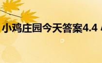 小鸡庄园今天答案4.4 小鸡庄园今天答案最新