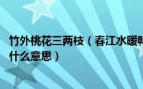 竹外桃花三两枝（春江水暖鸭先知的意思 春江水暖鸭先知是什么意思）