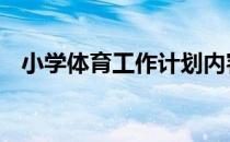 小学体育工作计划内容 小学体育工作计划