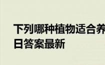 下列哪种植物适合养在室内 蚂蚁庄园3月25日答案最新