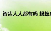 智齿人人都有吗 蚂蚁庄园3月27日答案最新