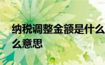 纳税调整金额是什么意思 纳税调整金额是什么意思