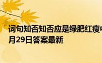 词句知否知否应是绿肥红瘦中红瘦本意指哪种花 蚂蚁庄园3月29日答案最新