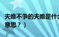 夫唯不争的夫唯是什么意思（夫唯到底是什么意思？）