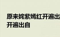 原来姹紫嫣红开遍出自汤显祖 原来姹紫嫣红开遍出自