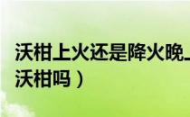 沃柑上火还是降火晚上能吃吗（口腔溃疡能吃沃柑吗）