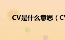 CV是什么意思（CV到底是什么意思）