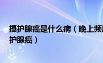 摄护腺癌是什么病（晚上频尿、老是尿不顺？6征兆警觉摄护腺癌）