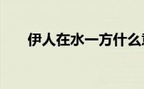 伊人在水一方什么意思 伊人在水一方