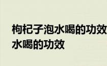 枸杞子泡水喝的功效与作用及禁忌 枸杞子泡水喝的功效