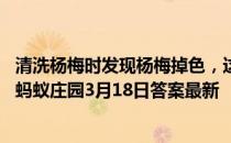 清洗杨梅时发现杨梅掉色，这一定是添加人工色素引起的吗 蚂蚁庄园3月18日答案最新