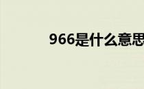 966是什么意思（966是什么）