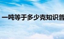 一吨等于多少克知识普及（一吨等于多少克）