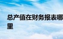 总产值在财务报表哪里 总产值在财务报表哪里