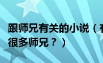 跟师兄有关的小说（有没有关于师兄们的小说很多师兄？）