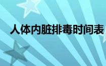 人体内脏排毒时间表 人体内脏排毒时间表