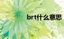 brt什么意思（brt是什么）