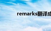 remarks翻译成中文 remarks