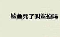 鲨鱼死了叫鲨掉吗（鲨鱼死后叫什么）