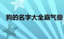 狗的名字大全霸气些 狗的名字大全可爱的