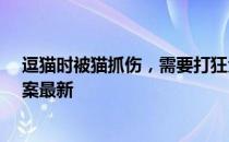 逗猫时被猫抓伤，需要打狂犬疫苗么？ 蚂蚁庄园3月7日答案最新