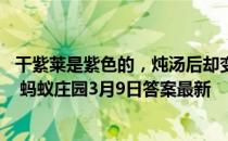 干紫莱是紫色的，炖汤后却变成了绿色,这是买到假紫菜了吗 蚂蚁庄园3月9日答案最新