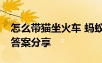 怎么带猫坐火车 蚂蚁庄园乘火车出行5月9日答案分享