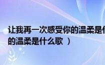 让我再一次感受你的温柔是什么歌（歌词让我再一次感受你的温柔是什么歌 ）