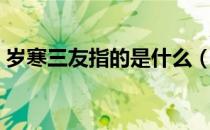 岁寒三友指的是什么（岁寒三友指的是什么）