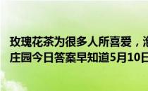 玫瑰花茶为很多人所喜爱，泡玫瑰花茶的水温多高为宜 蚂蚁庄园今日答案早知道5月10日