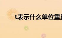 t表示什么单位重量 T表示什么单位