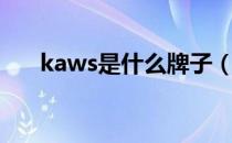 kaws是什么牌子（kaws是哪个品牌）