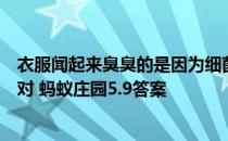 衣服闻起来臭臭的是因为细菌滋生释放气体还是洗衣液没选对 蚂蚁庄园5.9答案