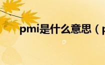 pmi是什么意思（pmi是指什么意思）