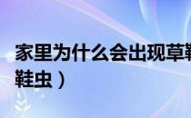 家里为什么会出现草鞋虫（家里为什么会有草鞋虫）