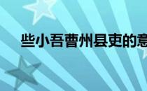 些小吾曹州县吏的意思 些小吾曹州县吏