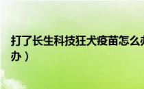 打了长生科技狂犬疫苗怎么办（打了长春长生狂犬疫苗怎么办）